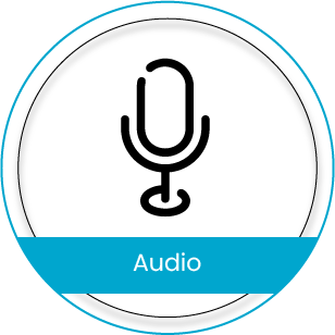 Audio Entries